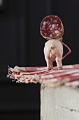Italian salami with model pig