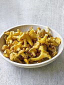 Chanterelles in a dish