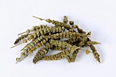 Dried Schizonepeta flowers (Japanese catnip)