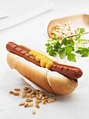 Hot dog with mustard and pine nuts