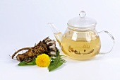 Dandelion tea in glass teapot, dandelion root, flower & leaves