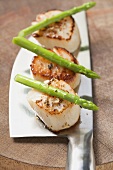 Fried scallops with green asparagus on cleaver