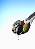 Olives on spoon with dripping olive oil