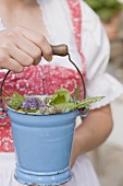 Woman holding fresh herbs in a small bucket