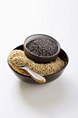 Opium poppy seeds and Indian poppy seeds