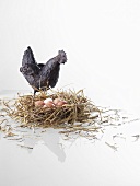 Straw nest with eggs and a chicken ornament