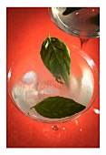 Lemon and basil vodka martini