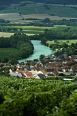 The river Marne flowing through Champagne in France