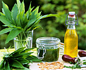 Bärlauch, Bärlauchpesto, Olivenöl und Pinienkerne