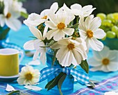 White cosmos with sage as table decoration
