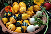 Bowl of ornamental gourds