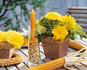Dahlia 'Glorie van Heemstede', dill & corn as table decoration