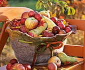 Birnen und Äpfel in einem Filzhut