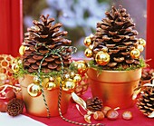 Pine cones sprinkled with gold glitter in terracotta pot
