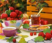 Breakfast table in garden