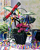 Kalanchoe & Dieffenbachia in basket with New Year decorations