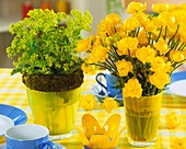 Globe flowers and lady's mantle in vases