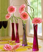 Gerberas in glass vases