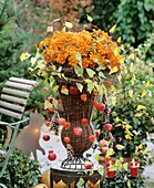 Korbvase mit Herbstchrysanthemen, Äpfeln und Lampionblumen