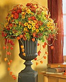 Herbststrauss mit Herbstchrysanthemen und Lampionblumen