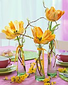 Parrot tulips in hyacinth glasses