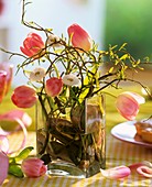 Modernes Gesteck aus Tulpen, Tausendschön und Korkenzieherweide in Glasvase