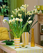 Narzissen in gelb-weiss gestreiften Vasen