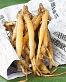 Turmeric roots on Asian newspaper
