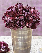 'Black Hero' tulips in vase