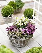 Flowering and foliage plants in baskets