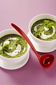 Kale soup with cream