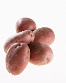 Five potatoes, variety 'Mozart'