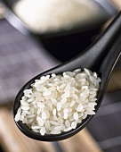 Arborio rice on Asian spoon
