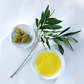 Olives, olive branch and olive oil