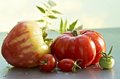 Various types of tomatoes