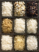 Various sorts of rice in type case (overhead view)