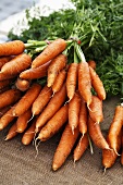 Fresh carrots with tops