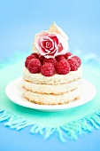 Small sponge cake with raspberries and rose