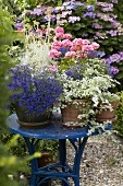 Sommerblumen in Töpfen auf Gartentisch