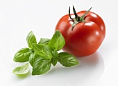 Tomato and basil