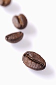 Several coffee beans