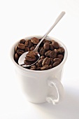 Coffee beans in cup with spoon