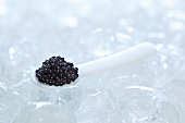 Black caviar on spoon