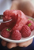 Raspberry sorbet with fresh raspberries