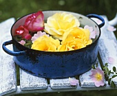 Roses in a cooking pot