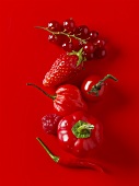 Red berries and vegetables against red background