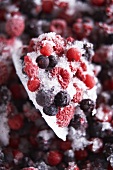 Frozen fruits of the forest