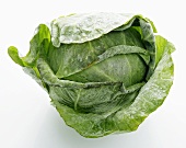 Frozen cabbage