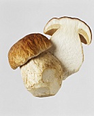 Whole and half cep
