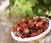 Bowl of strawberries and cherries